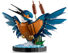 Load image into Gallery viewer, LEGO® Icons Kingfisher Bird - 10331
