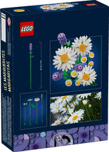 Load image into Gallery viewer, LEGO® Botanicals Daisies – 11508