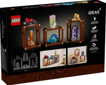 Load image into Gallery viewer, LEGO® Ideas Mineral Collection – 21362