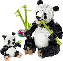 Load image into Gallery viewer, LEGO® Creator 3in1 Wild Animals: Panda Family – 31165