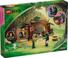 Load image into Gallery viewer, LEGO® Wicked Elphaba’s Retreat – 75687