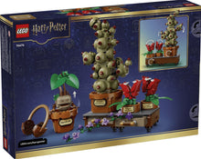 Load image into Gallery viewer, LEGO® Harry Potter™ Hogwarts™ Herbology Plants – 76474