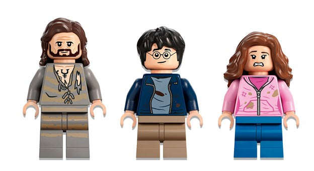 LEGO Harry Potter Cour de Poudlard : le sauvetage de Sirius - 76401