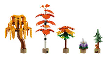 Load image into Gallery viewer, LEGO® Icons Autumn Cottage Garden – 11372
