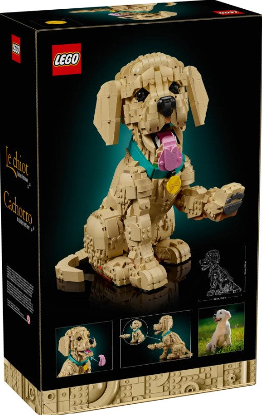 LEGO® Icons Golden Retriever Puppy - 11384 – LEGOLAND New York Resort
