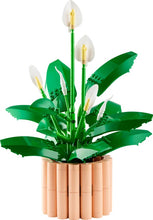 Load image into Gallery viewer, LEGO® Botanicals Peace Lily – 11504
