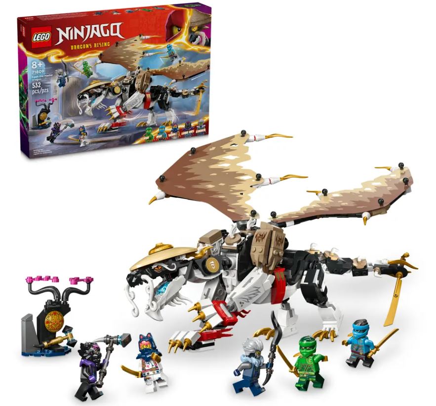 Lego ninjago shops set