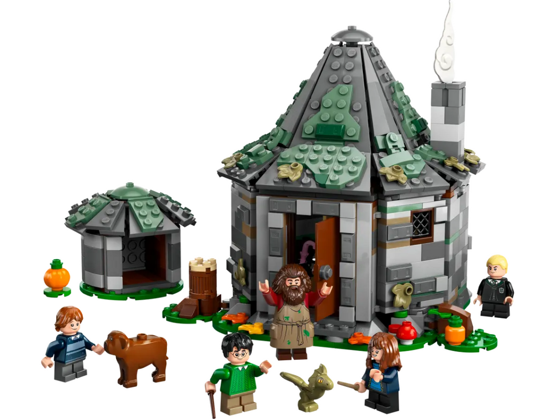 LEGO® Harry Potter™ Hagrid’s Hut: An Unexpected Visit – 76428