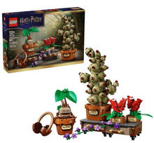 Load image into Gallery viewer, LEGO® Harry Potter™ Hogwarts™ Herbology Plants – 76474

